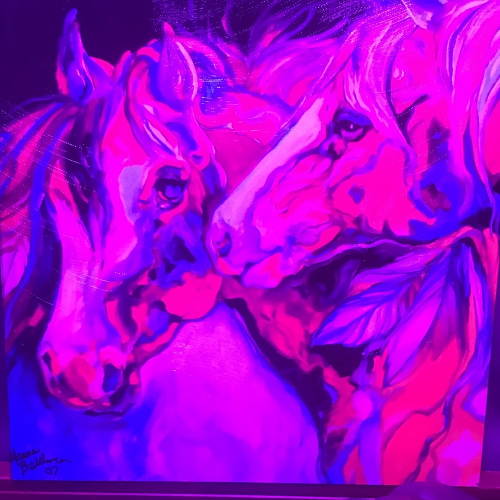 Meet your Posher, Bobbie